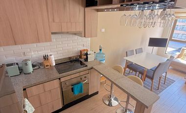 Arriendo departamento ejecutivo amoblado en sector Centro Sur – Barrio Parque Inglés