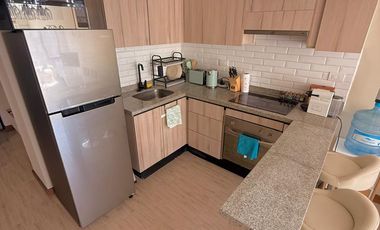 Arriendo departamento ejecutivo amoblado en sector Centro Sur – Barrio Parque Inglés