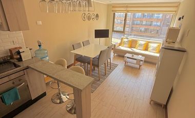 Arriendo departamento ejecutivo amoblado en sector Centro Sur – Barrio Parque Inglés