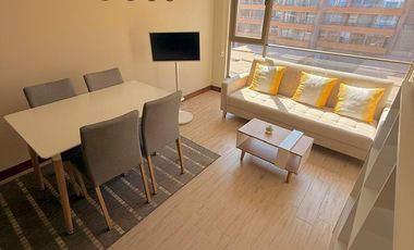 Arriendo departamento ejecutivo amoblado en sector Centro Sur – Barrio Parque Inglés