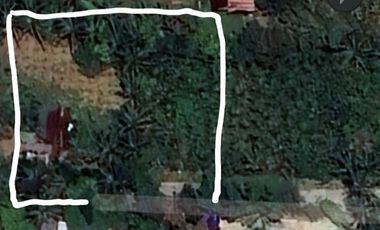 Residential Farm Lot for Sale | 1,500 sqm in Peaceful Mendez, Cavite