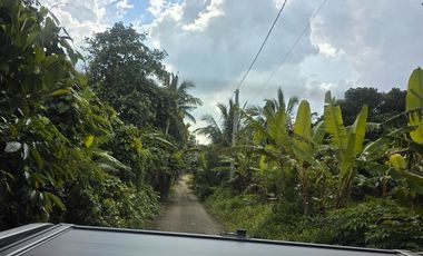 Residential Farm Lot for Sale | 1,500 sqm in Peaceful Mendez, Cavite