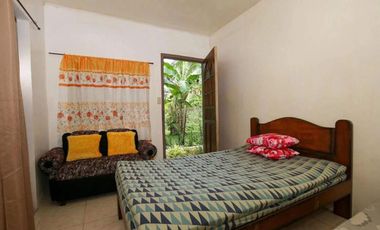 Beachfront House – Your Home & Business