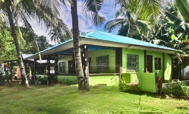 Beachfront House – Your Home & Business