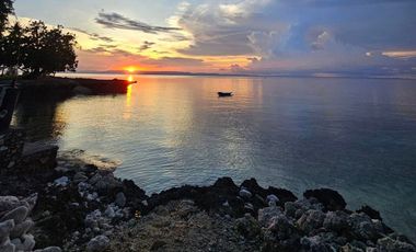 Beachfront House – Your Home & Business