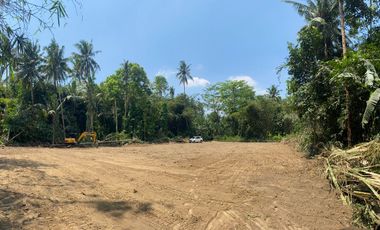 Tanah Sleman Area Pemda Sleman Mulai 2 Jutaan/m