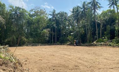 Tanah Sleman Area Pemda Sleman Mulai 2 Jutaan/m