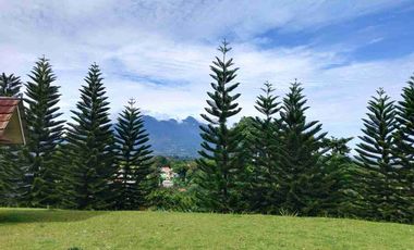 Kavling View Gunung Posisi Hook di Royal Tajur Residence Bogor