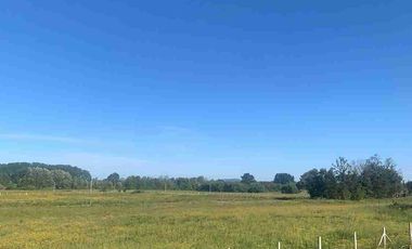 SE VENDEN PARCELAS DE AGRADO CON ROL PROPIO EN MULCHEN