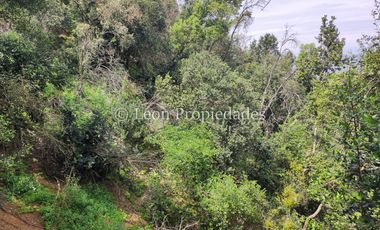 Leon Propiedades vende casa en sector Las Achiras, Curacaví.