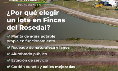 Fincas del Rosedal 2da Etapa – Lotes de 360 m² en Ibarlucea