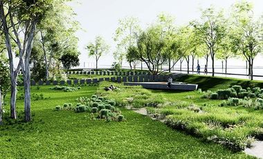 Lotes con ubicación estratégica en General Lagos