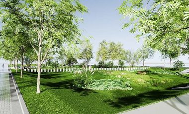 Lotes con ubicación estratégica en General Lagos