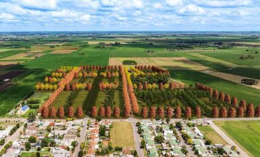 Lotes con ubicación estratégica en General Lagos