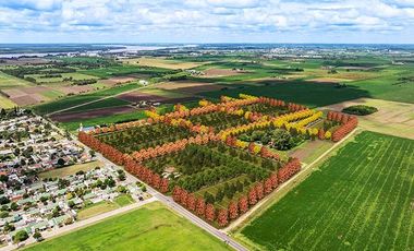 Lotes con ubicación estratégica en General Lagos