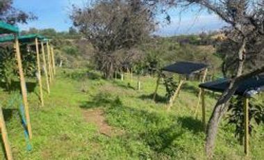 CONDOMINIO SAN ISIDRO-PEÑABLANCA