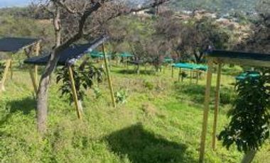 CONDOMINIO SAN ISIDRO-PEÑABLANCA