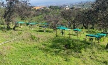 CONDOMINIO SAN ISIDRO-PEÑABLANCA