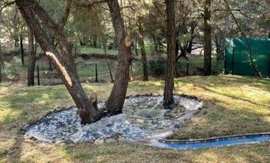 CABAÑA EN VENTA – HUASCA DE OCAMPO, HIDALGO