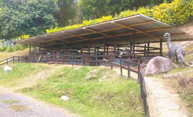 SE VENDE HERMOSA FINCA EN FUSAGASUGA EXCELENTE UBICACIÓN