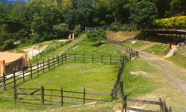 SE VENDE HERMOSA FINCA EN FUSAGASUGA EXCELENTE UBICACIÓN