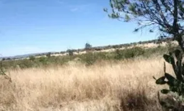 RENTA DE TERRENO EN JUVENTINO ROSAS CON UNA SUPERFICIE DE: 500 HECTAREAS