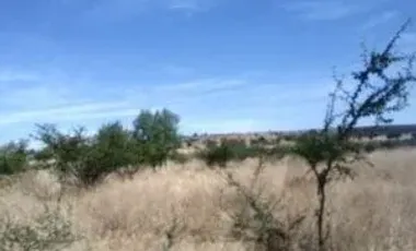 RENTA DE TERRENO EN JUVENTINO ROSAS CON UNA SUPERFICIE DE: 500 HECTAREAS