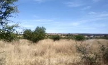 RENTA DE TERRENO EN JUVENTINO ROSAS CON UNA SUPERFICIE DE: 500 HECTAREAS