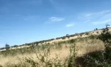 RENTA DE TERRENO EN JUVENTINO ROSAS CON UNA SUPERFICIE DE: 500 HECTAREAS