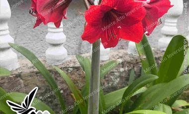 🌄 Invierte a una hora de Bogotá: Propiedad con proyección turística y bienestar en Santandercito” Ideal para desarrollar centro de salud, spa