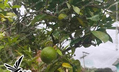 🌄 Invierte a una hora de Bogotá: Propiedad con proyección turística y bienestar en Santandercito” Ideal para desarrollar centro de salud, spa
