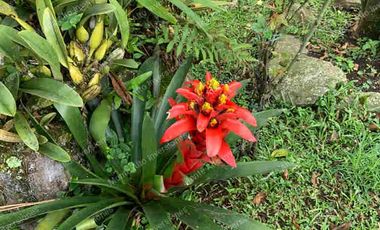 🌄 Invierte a una hora de Bogotá: Propiedad con proyección turística y bienestar en Santandercito” Ideal para desarrollar centro de salud, spa