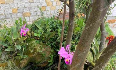 🌄 Invierte a una hora de Bogotá: Propiedad con proyección turística y bienestar en Santandercito” Ideal para desarrollar centro de salud, spa