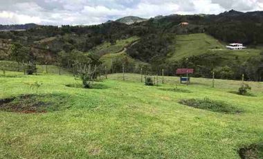VENDO CASA FINCA