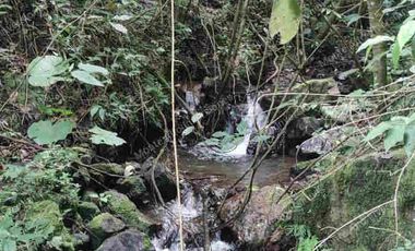 ✨ Paraíso Natural con Cascada junto al Parque Chicaque – Ideal para Glamping y Turismo Ecológico