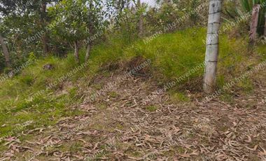 ✨ Paraíso Natural con Cascada junto al Parque Chicaque – Ideal para Glamping y Turismo Ecológico