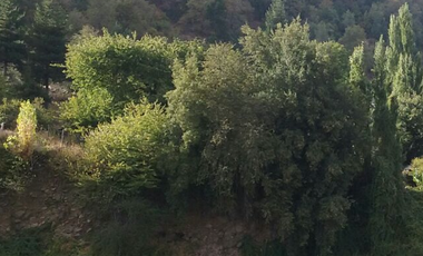 Hermosa parcela rústica en río Los sauces, San Fabian de Alico