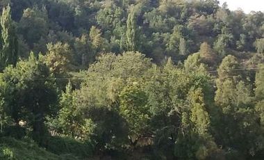 Hermosa parcela rústica en río Los sauces, San Fabian de Alico