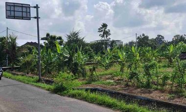 tanah kontrak jalan utama pantai nyanyi tabanan