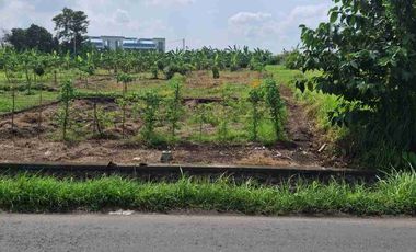 tanah kontrak jalan utama pantai nyanyi tabanan