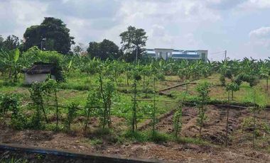 tanah kontrak jalan utama pantai nyanyi tabanan