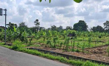 tanah kontrak jalan utama pantai nyanyi tabanan