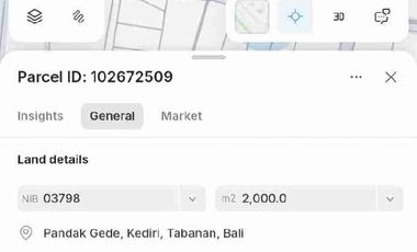 tanah kontrak jalan utama pantai nyanyi tabanan