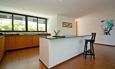 Loft en renta, Quinta Avenida Playa del Carmen