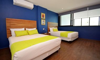Loft en renta, Quinta Avenida Playa del Carmen