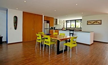 Loft en renta, Quinta Avenida Playa del Carmen