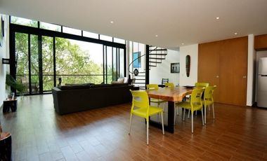 Loft en renta, Quinta Avenida Playa del Carmen