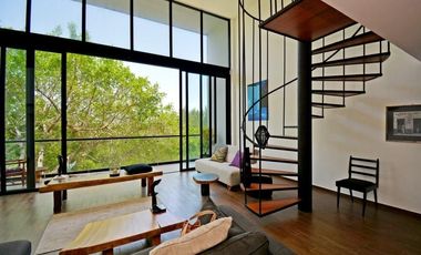 Loft en renta, Quinta Avenida Playa del Carmen