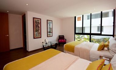 Loft en renta, Quinta Avenida Playa del Carmen