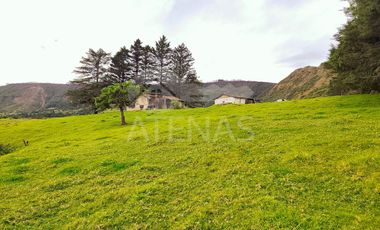 HACIENDA EN VENTA, YACUDEL